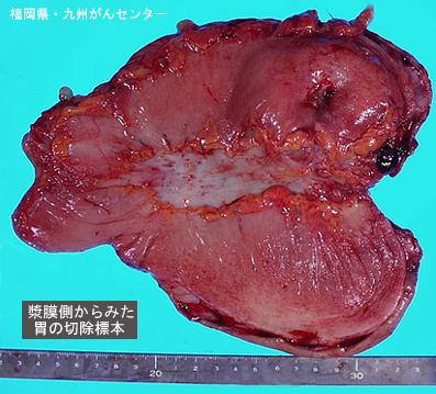 画像ID:4846