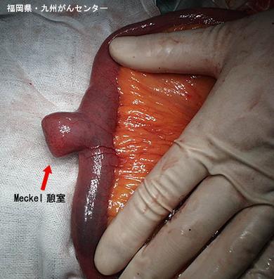 画像ID:4847