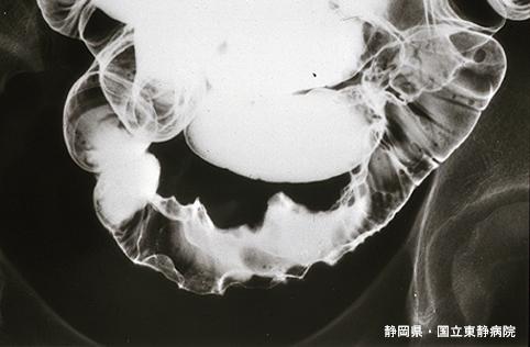 画像ID:4858