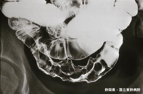 画像ID:4859