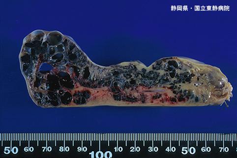 画像ID:4870