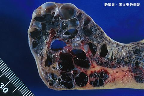 画像ID:4871