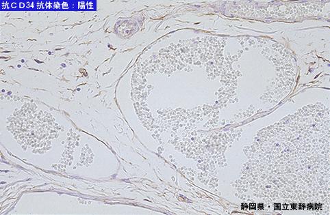 画像ID:4873