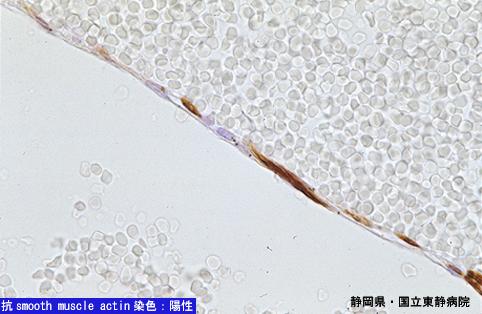 画像ID:4875