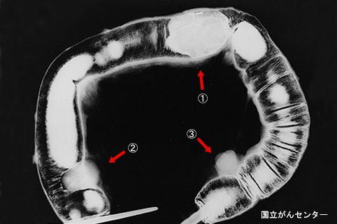 画像ID:4876