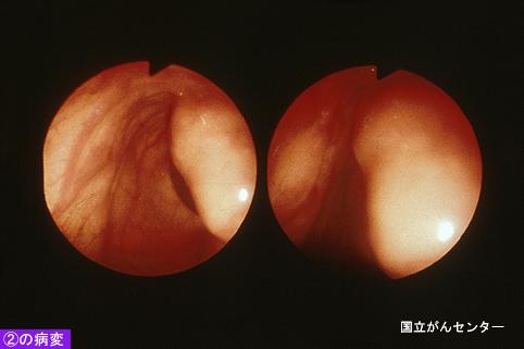 画像ID:4889