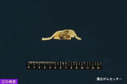 画像ID:4897