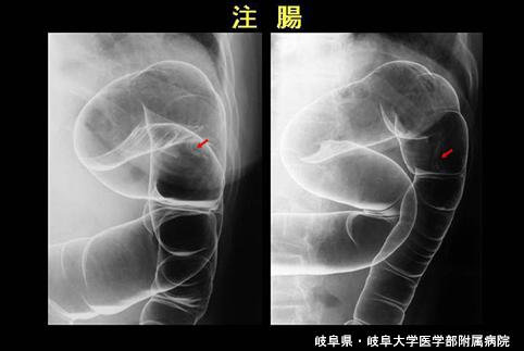 画像ID:4900