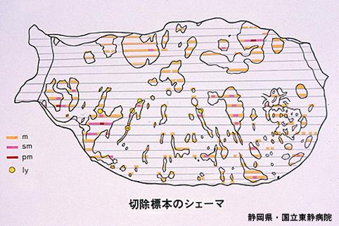 画像ID:4921