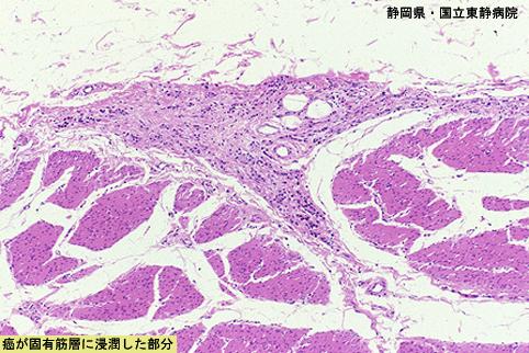 画像ID:4925