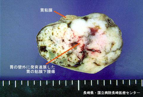 画像ID:4953