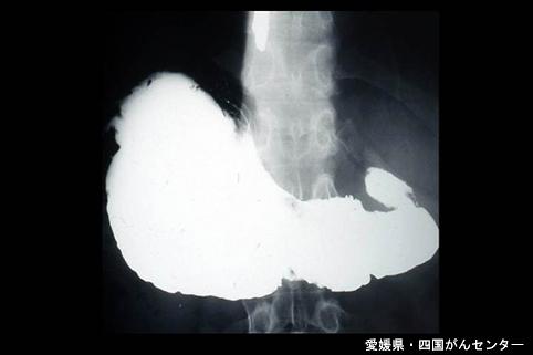 画像ID:4962