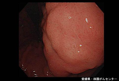 画像ID:4969