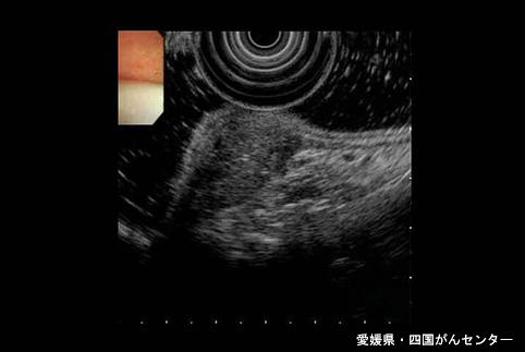 画像ID:4973