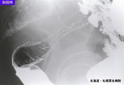 画像ID:5009