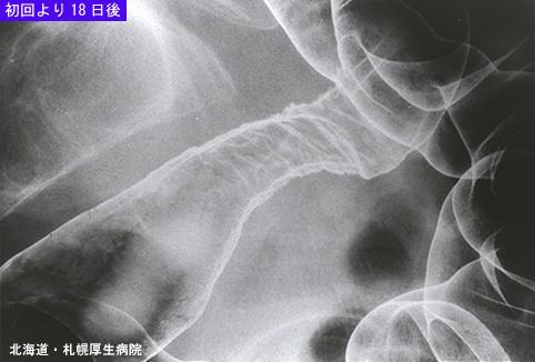画像ID:5011