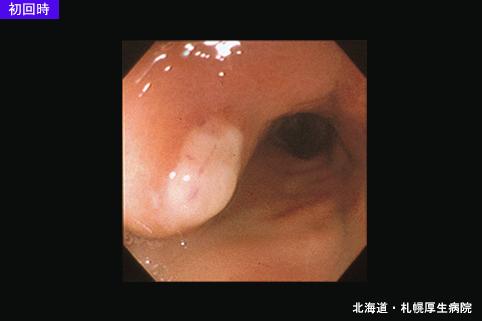 画像ID:5013