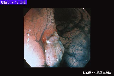 画像ID:5015