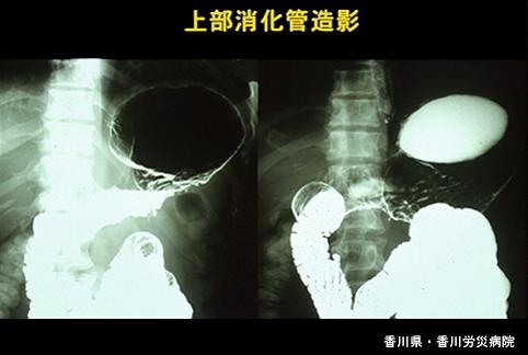 画像ID:5038