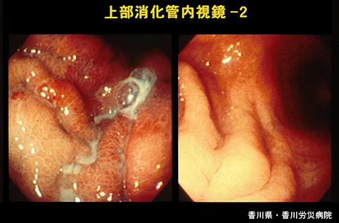 画像ID:5043