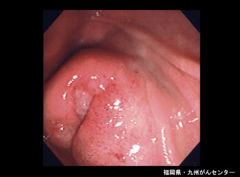 画像ID:5109