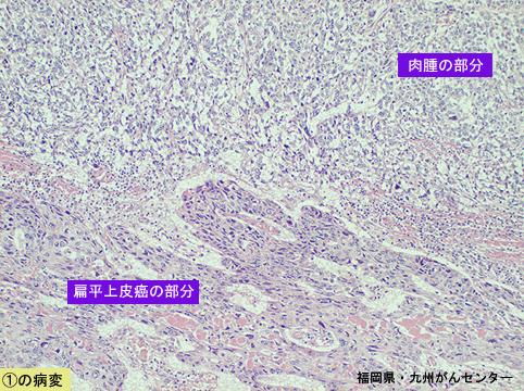 画像ID:5156
