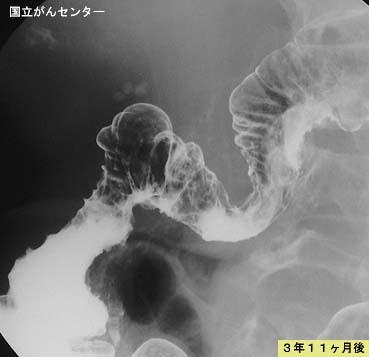 画像ID:5163