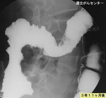 画像ID:5164