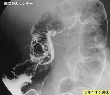 画像ID:5166