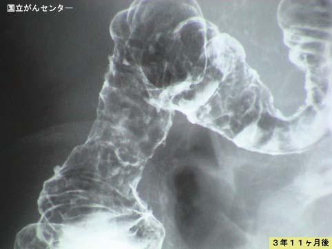 画像ID:5169