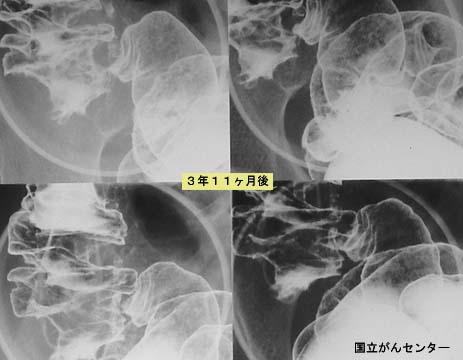 画像ID:5172
