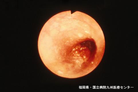 画像ID:5207