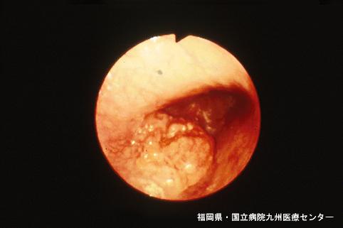 画像ID:5209