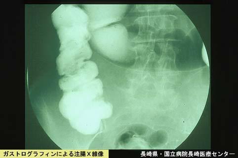 画像ID:5259