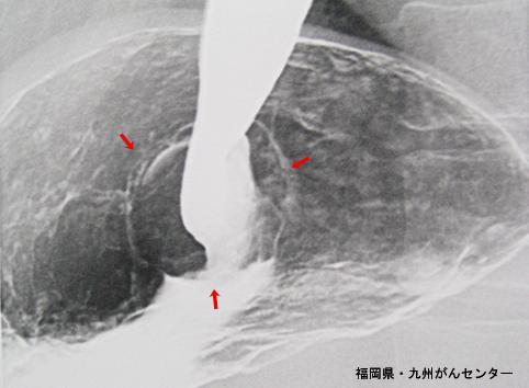 画像ID:5277
