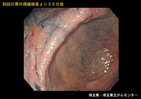 画像ID:5338