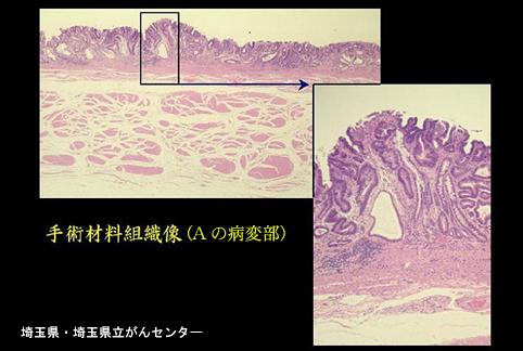 画像ID:5344