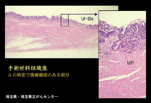 画像ID:5345