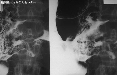 画像ID:5437