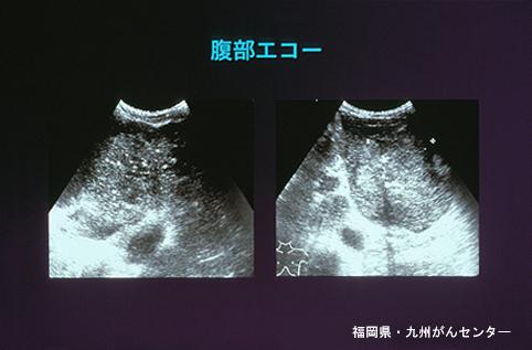 画像ID:5440