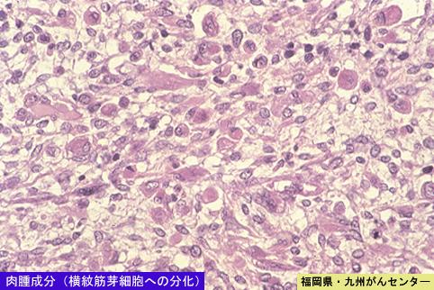画像ID:5445