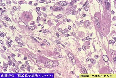 画像ID:5449