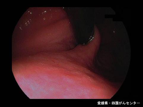 画像ID:5477
