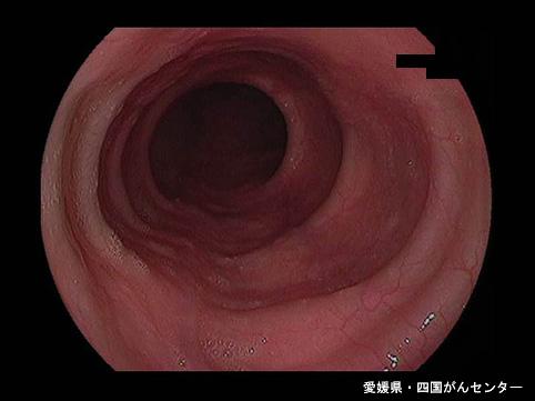 画像ID:5479