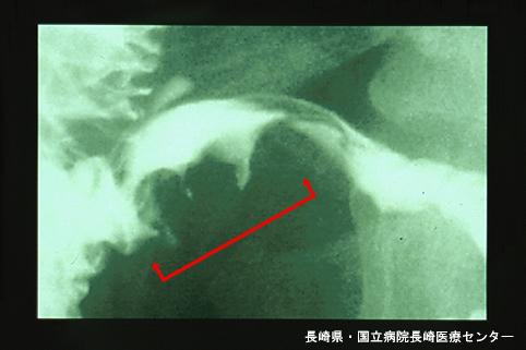 画像ID:5489