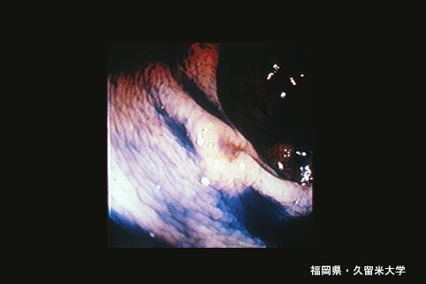 画像ID:5527