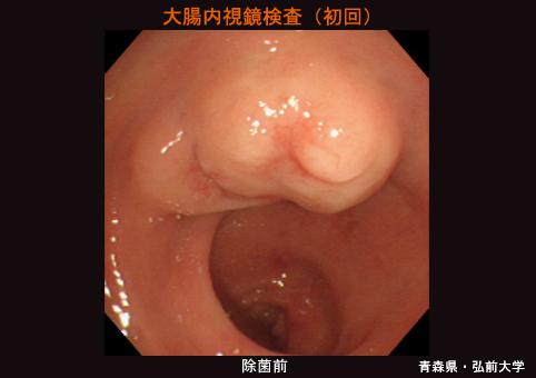 画像ID:5547