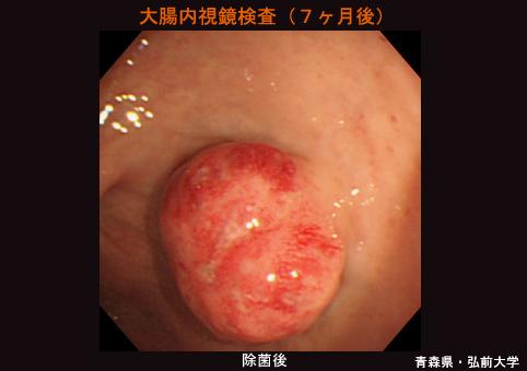 画像ID:5548