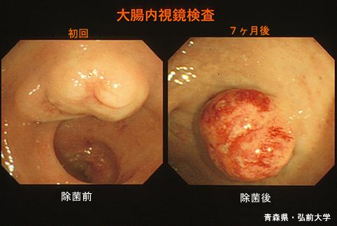 画像ID:5549