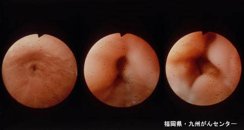 画像ID:5648
